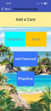 Original Add a Card screen: a cyan button labelled Definition beside a gold button labelled Term, both placed directly on a bright tropical beach photograph, with blue Add Flashcard and Practice buttons below.